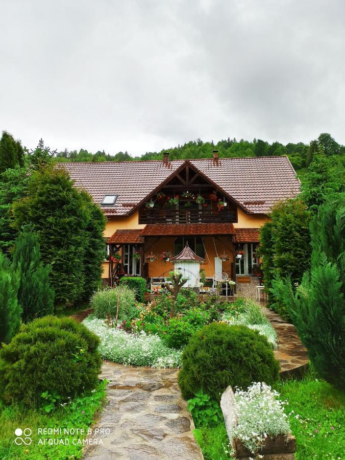 Damuc Casa Lucia酒店 外观 照片
