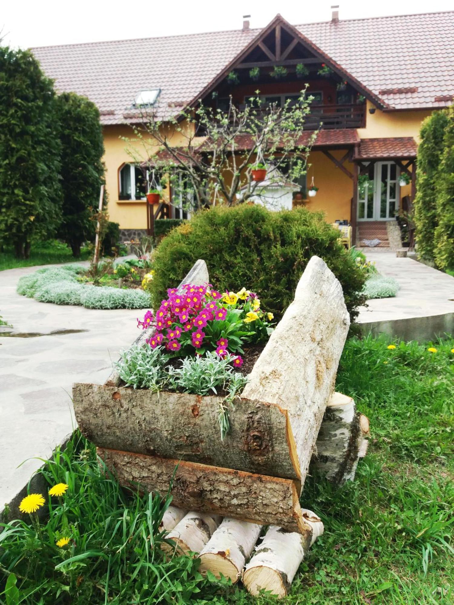 Damuc Casa Lucia酒店 外观 照片