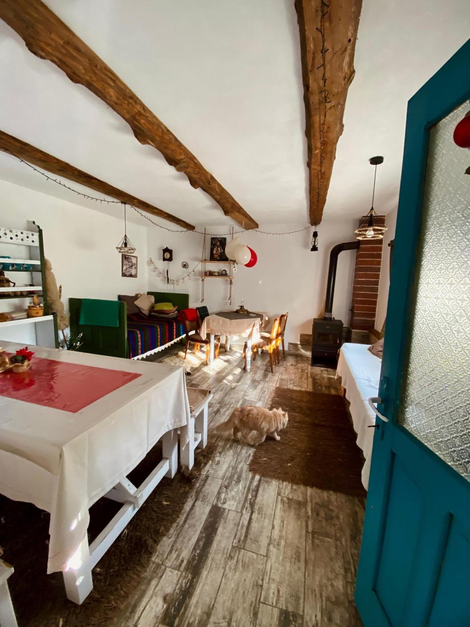 Damuc Casa Lucia酒店 外观 照片
