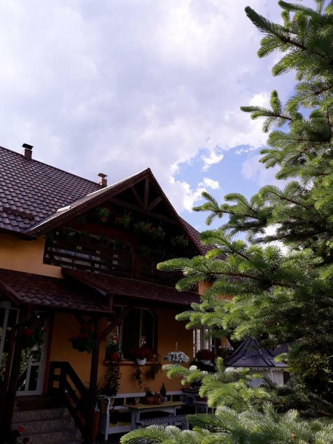 Damuc Casa Lucia酒店 外观 照片
